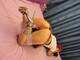 Foto privata di squirtlolly