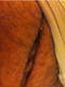 figa stupenda