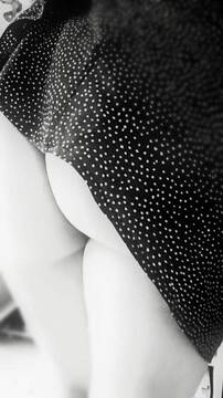 Foto pública de Lei_Sado