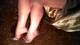 piedini e gambe