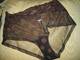 MON CULOTTE