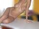 foto private sexymediterranea